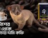 বিশ্বের সবচেয়ে দামি কফি