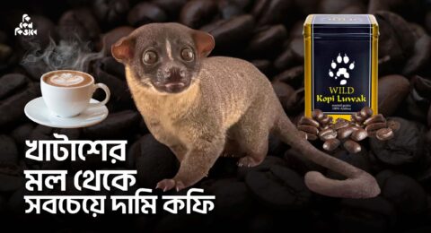 বিশ্বের সবচেয়ে দামি কফি
